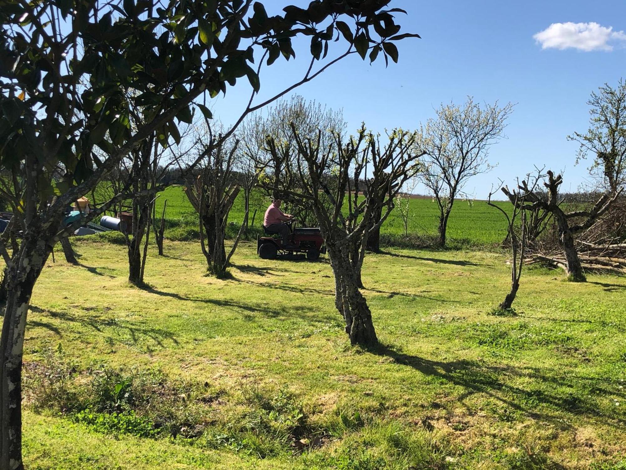 Saint-Pierre-la-Noue Les Geais Bed & Breakfast エクステリア 写真