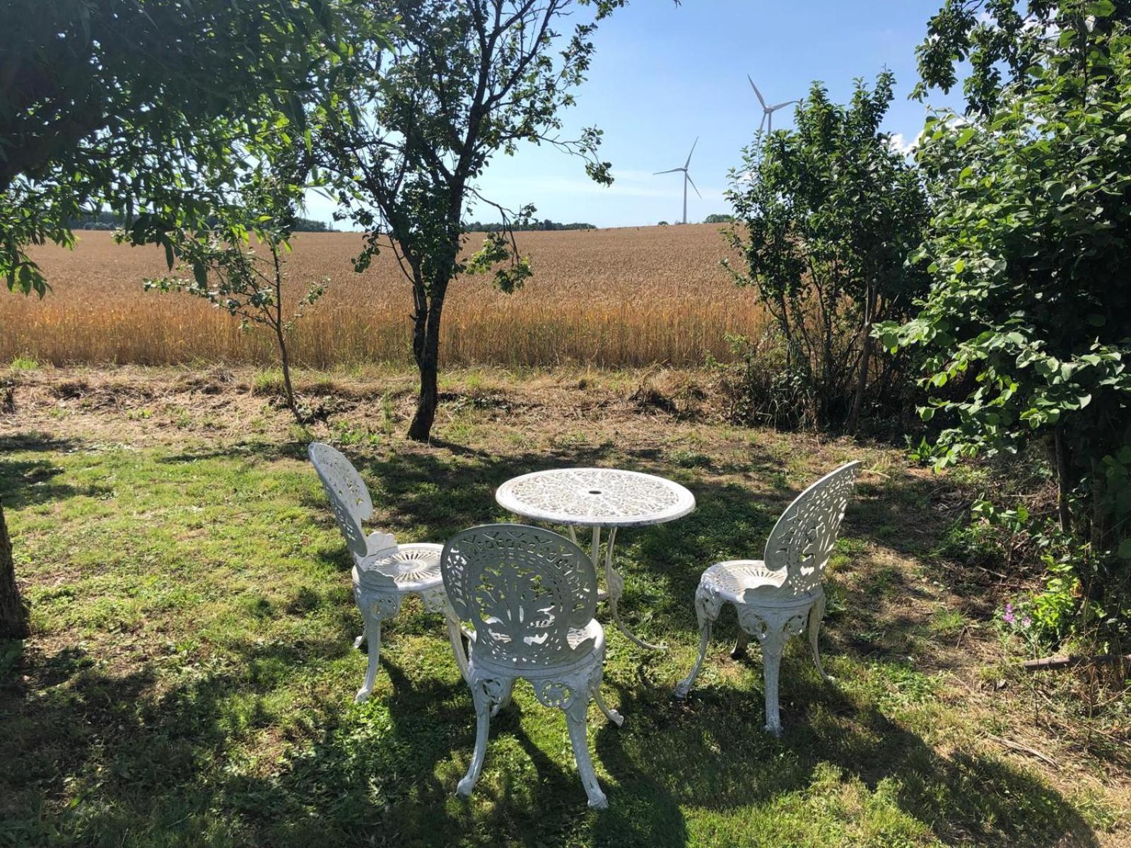 Saint-Pierre-la-Noue Les Geais Bed & Breakfast エクステリア 写真